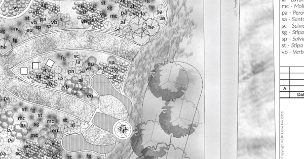A detail from a planting plan detailing an expanse of largely perennial planting